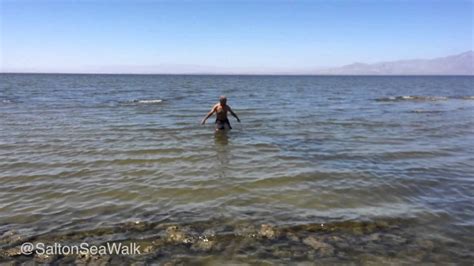 Can You Swim In Salton Sea?