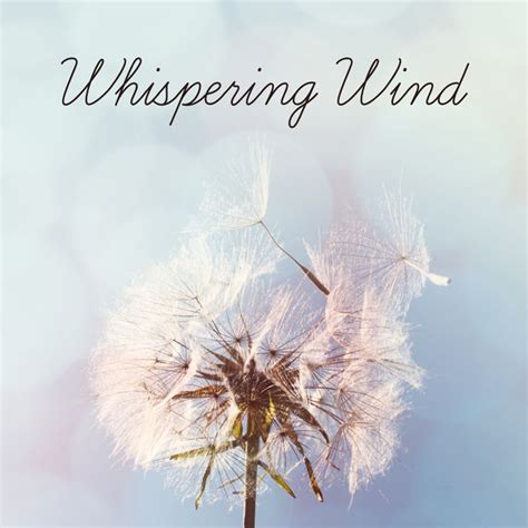 Whispering Wind een betoverende melodie die de ziel kalmeert met haar etherische klanken